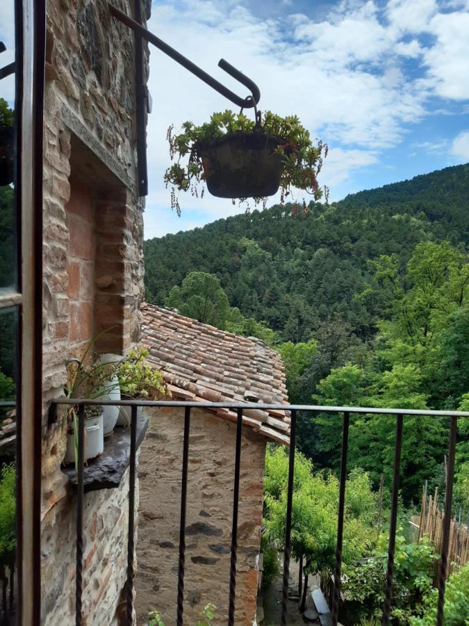 Locanda Del Capo Capannori Exterior foto